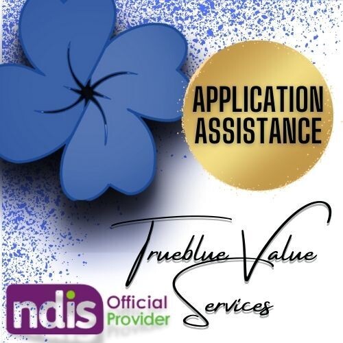 NDIS Application Advice - FREE 30 mins