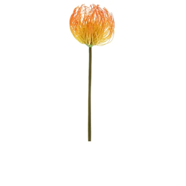 ORANGE/YELLOW PINCUSHION PROTEA SPRAY (43cm)