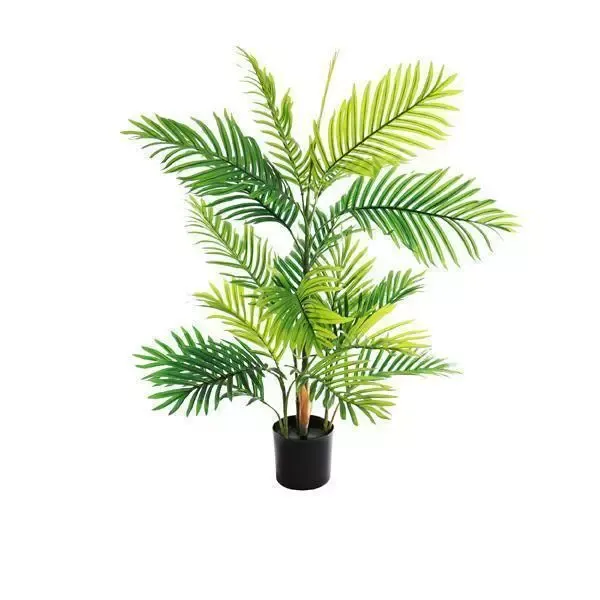 ARECA PALM TREE (90cm)