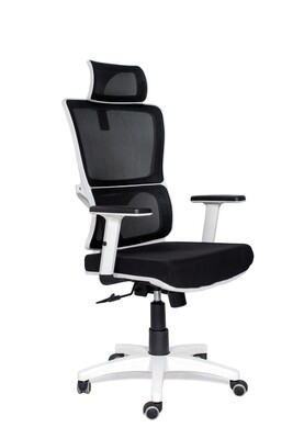 Premium CEO Chair