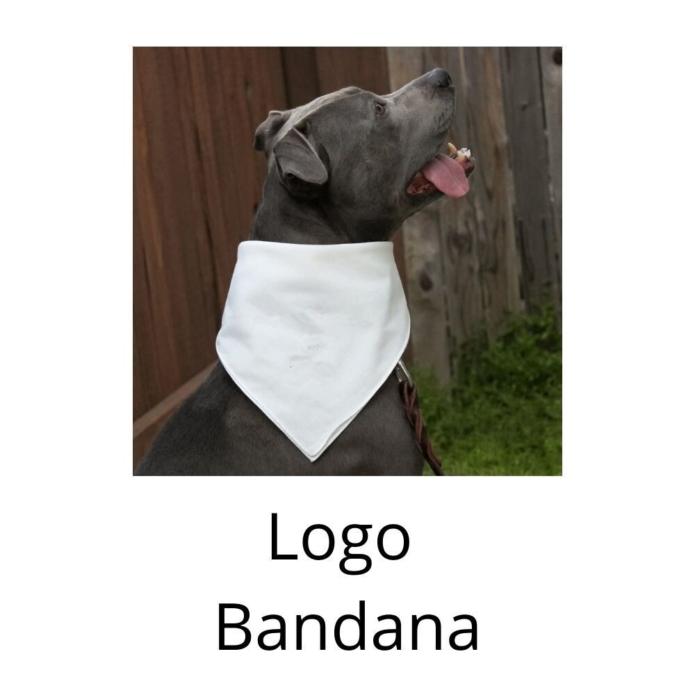 Sample Bandana
