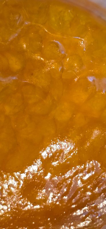 1 Gram Organic Grease Bucket FSE by Naturally Farmed Cannabis