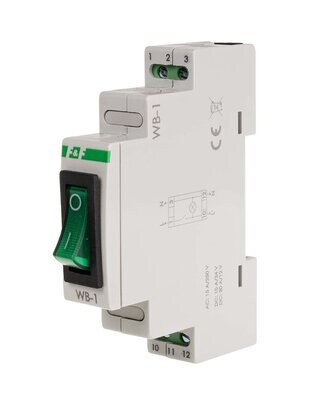 WB-1 Schalter mit Signalleuchte Farbe Grün 16A 250 V AC IP20