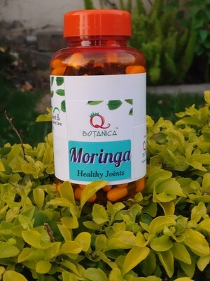 Moringa Capsules Best Source of Calcium and Detoxifying agent. 120 Capsules