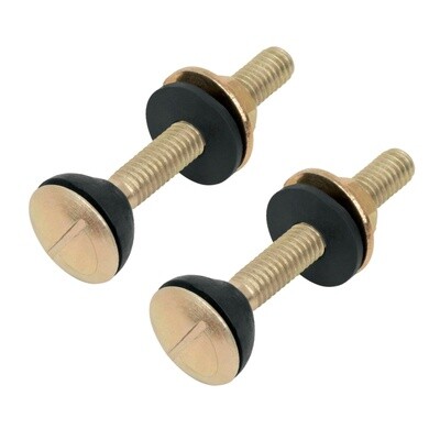 BOLSA CON 2 TORNILLOS 5/16 X 70 MM PARA TANQUE DE WC A BASE 49331