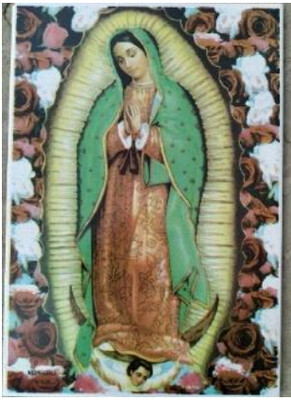 INSERTO VIRGEN DE  GUADALUPE ROSAS 20 X 30 CMS MFRS 12 MIRAFLORES
