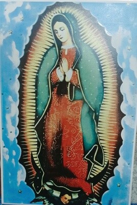 INSERTO VIRGEN DE GUADALUPE ESTRELLAS 20X30 CMS EXTERIOR MFRS R31 MIRAFLORES