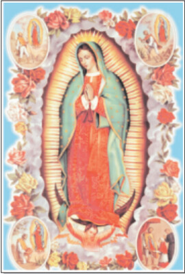 INSERTO VIRGEN DE GUADALUPE ESTACIONES 20 X 30 CMS EXTERIOR MFRS 6 MIRAFLORES