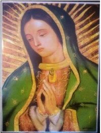 INSERTO VIRGEN DE GUADALUPE MEDIO BUSTO 20 X 30 CMS EXTERIOR  MFRS 10