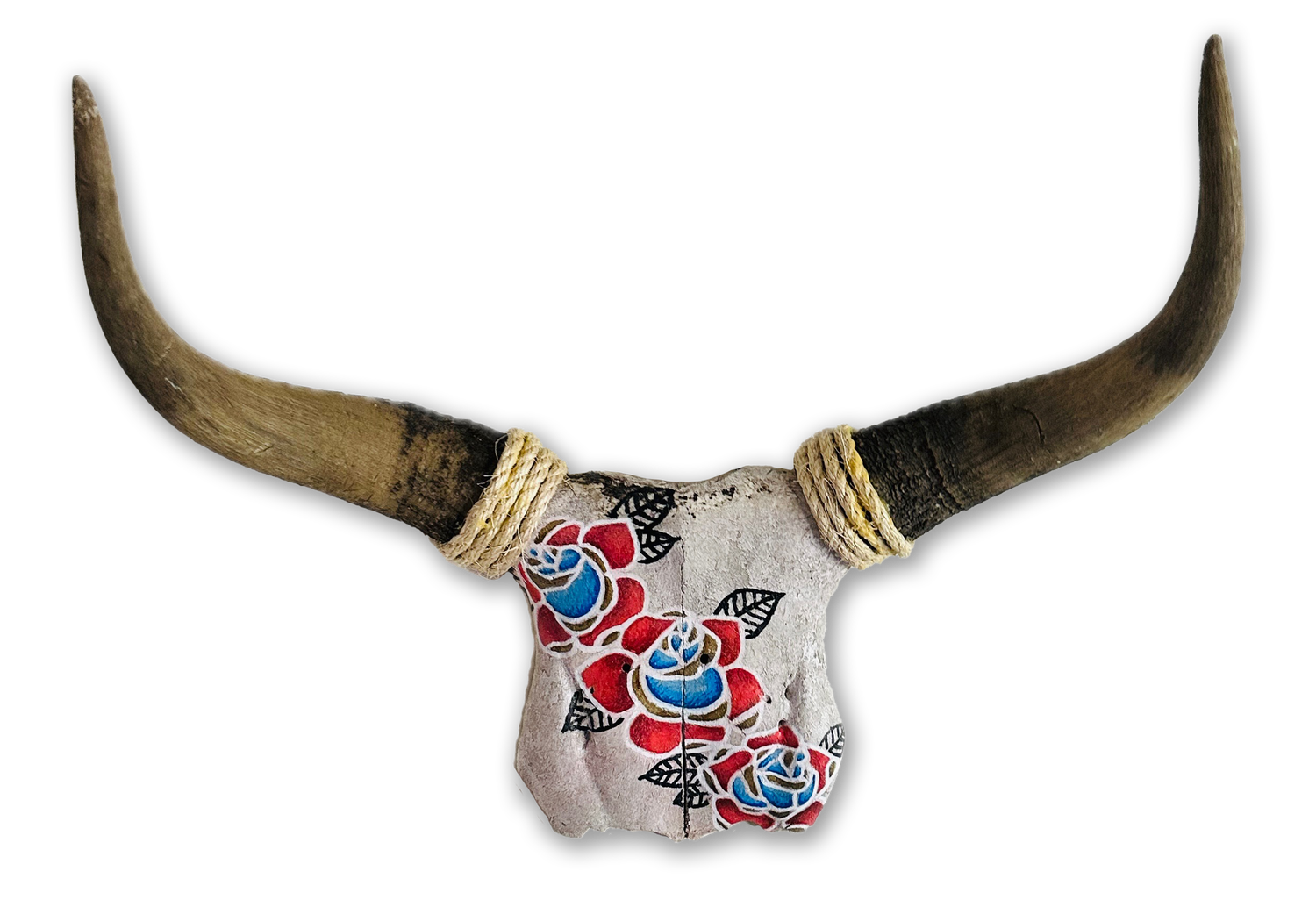 Painted bull skull