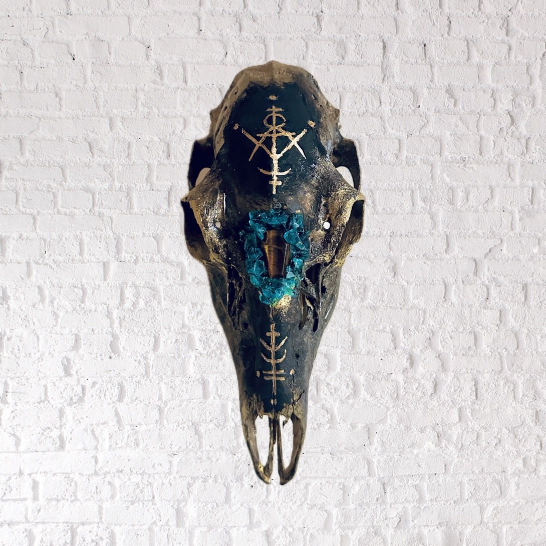 Desert Skull