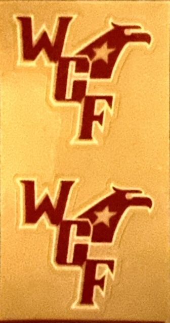 Team Decal