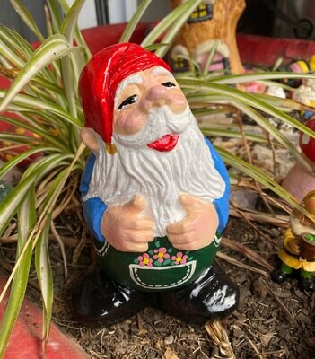 Jolly Gnome