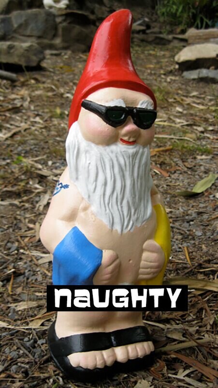 Bathing Gnome