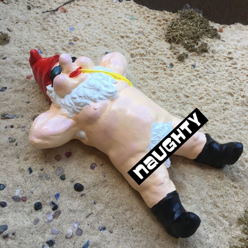 Nature Boy Gnome