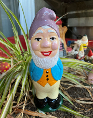 Grandpa Gnome