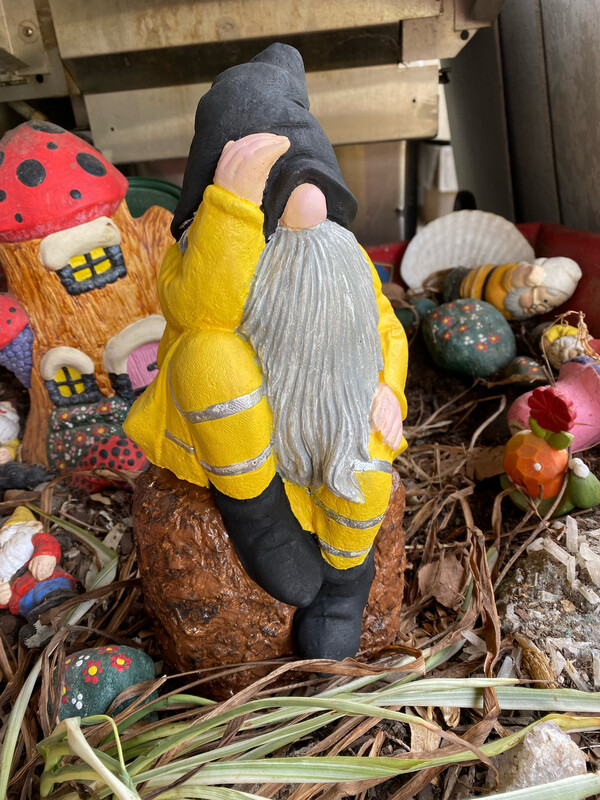 Gnome-on-a-Rock