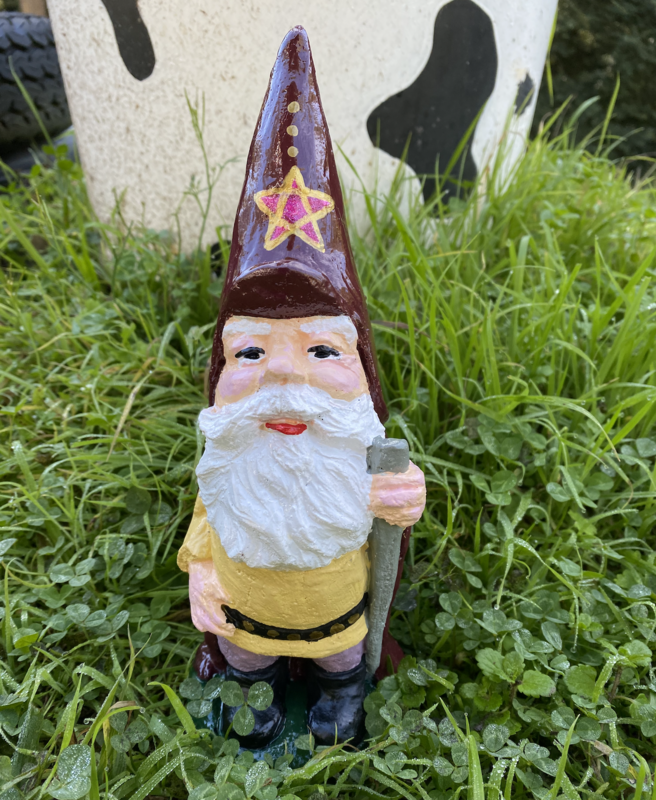 Wizard Gnome