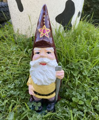 Wizard Gnome