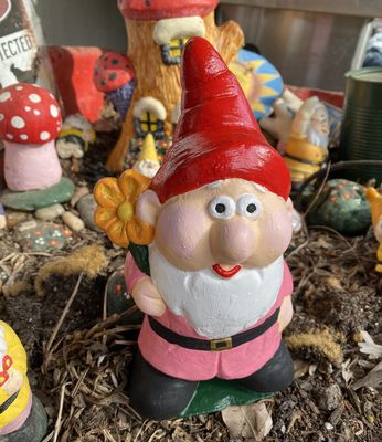 Cute Gnome with Flower