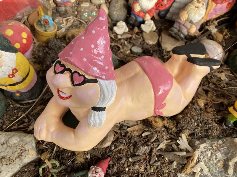 Cheeky Girl Gnome