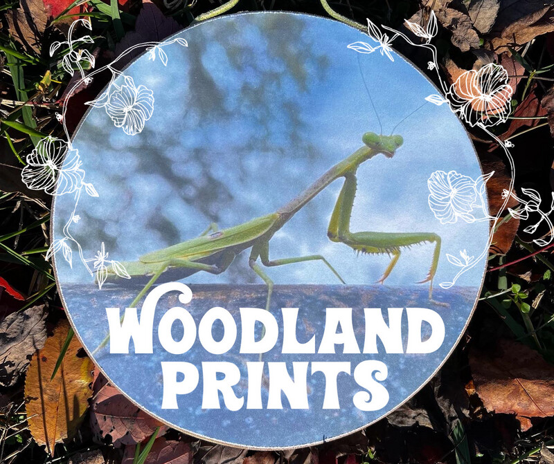 Woodland Prints