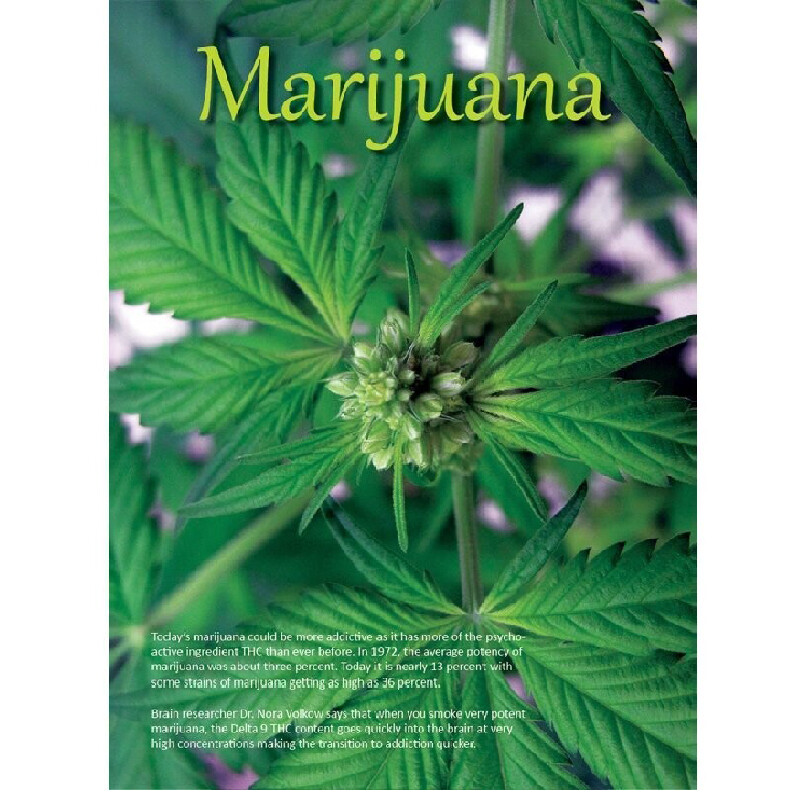 Drug Education Materials Long Lake MN 952 270 6099 Drug Education Materials Long Lake MN 952 270 6099