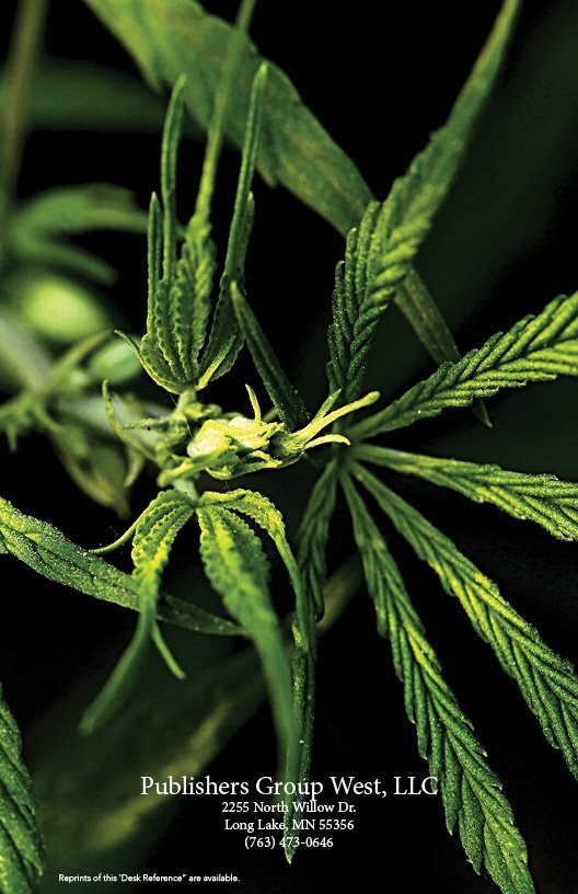 Drug ID Desk Reference