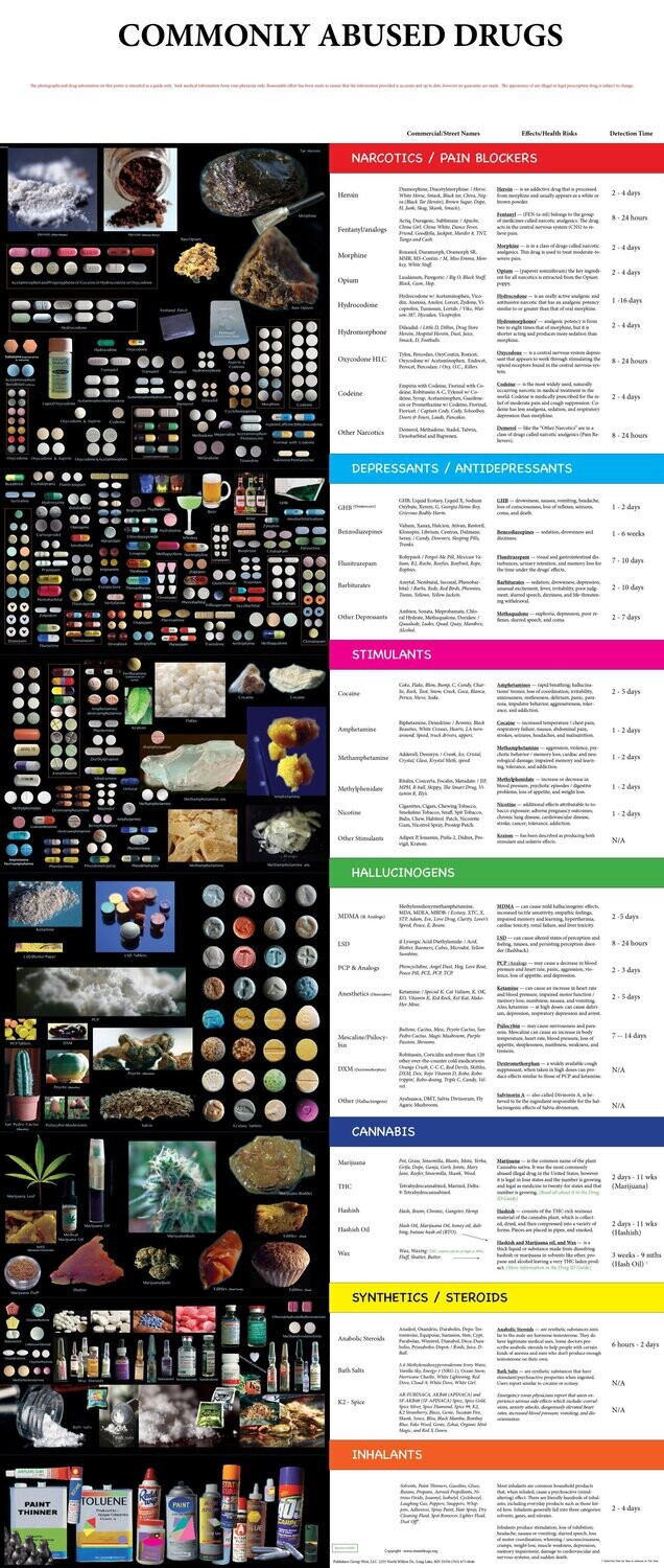 Drug ID Poster (Retractable)