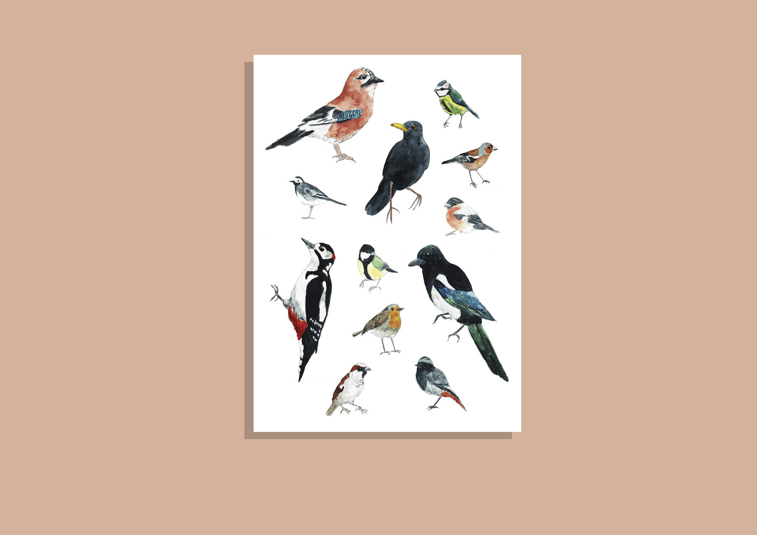 POSTER A2 - Gartenvögel