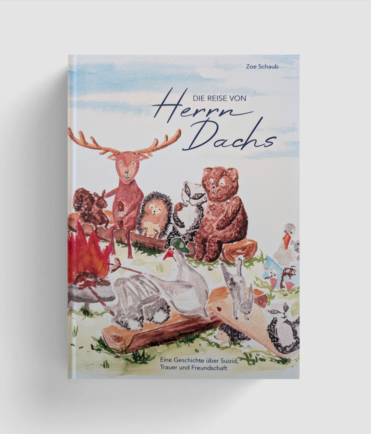 BILDERBUCH Die Reise von Herrn Dachs