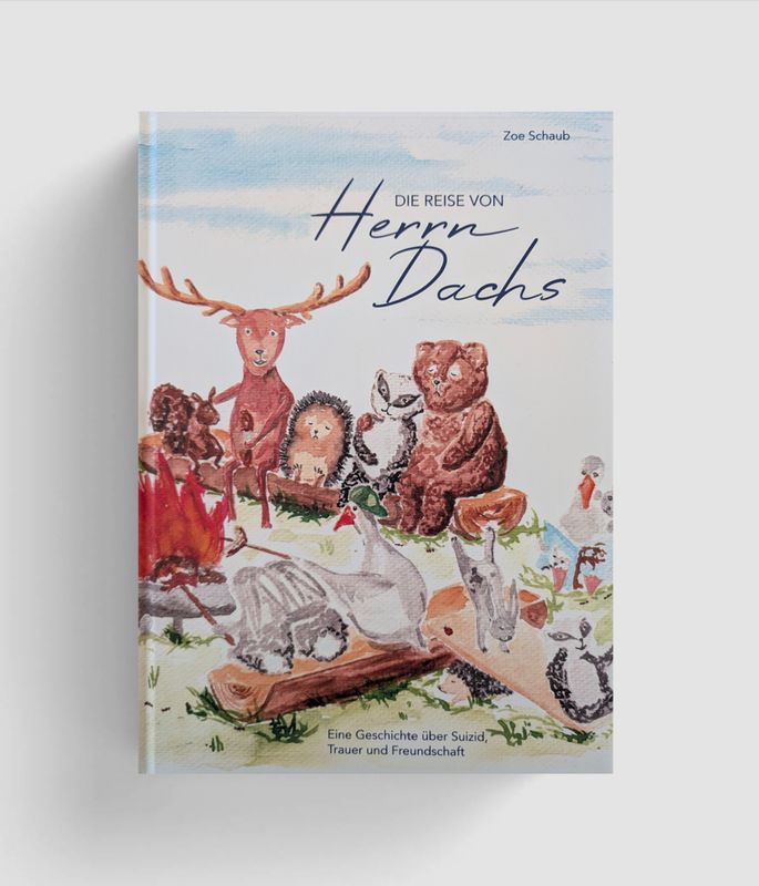 BILDERBUCH Die Reise von Herrn Dachs