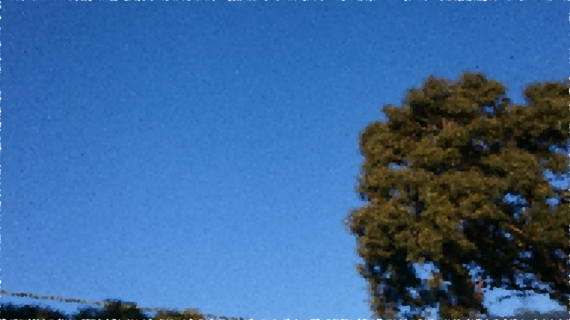 SKY WIDE FIASCO