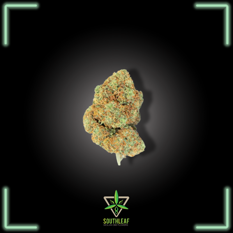 Meringa Kush CBD