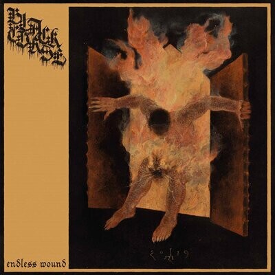 Black Curse - Endless Wound LP (Black Vinyl)