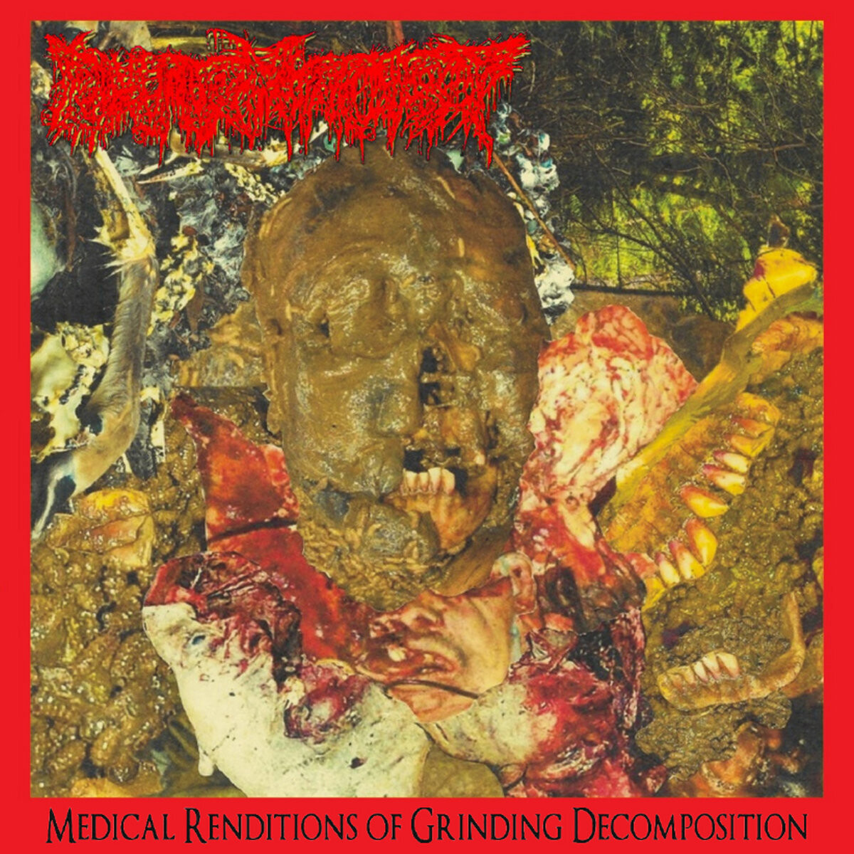 PHARMACIST – Medical Renditions Of Grinding Decomposition (CD) Jewel Case