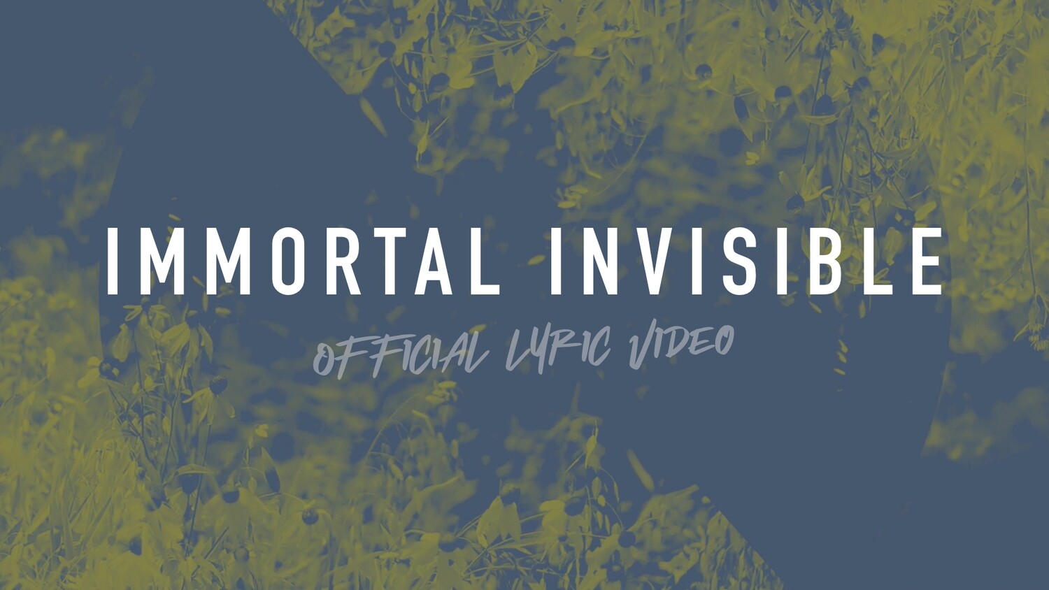 Immortal, Invisible (Full Band Lyric Video)