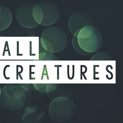 All Creatures (Split Track)