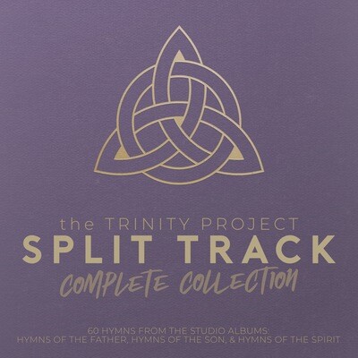The Trinity Project Split Track Bundle