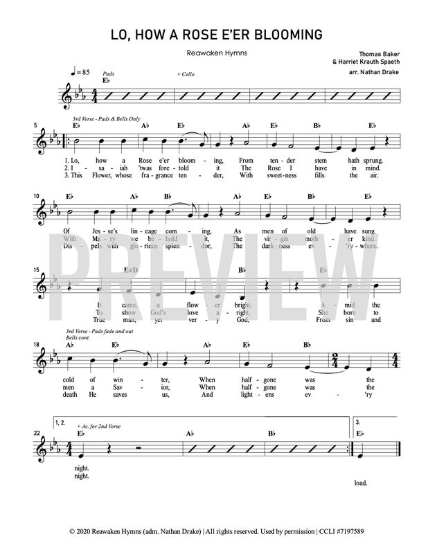 Lo, How A Rose E’er Blooming - Lead Sheet