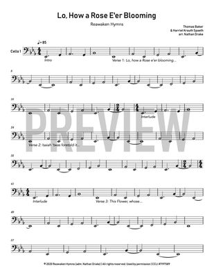 Lo, How A Rose E’er Blooming - Cello Sheet Music (2 parts)