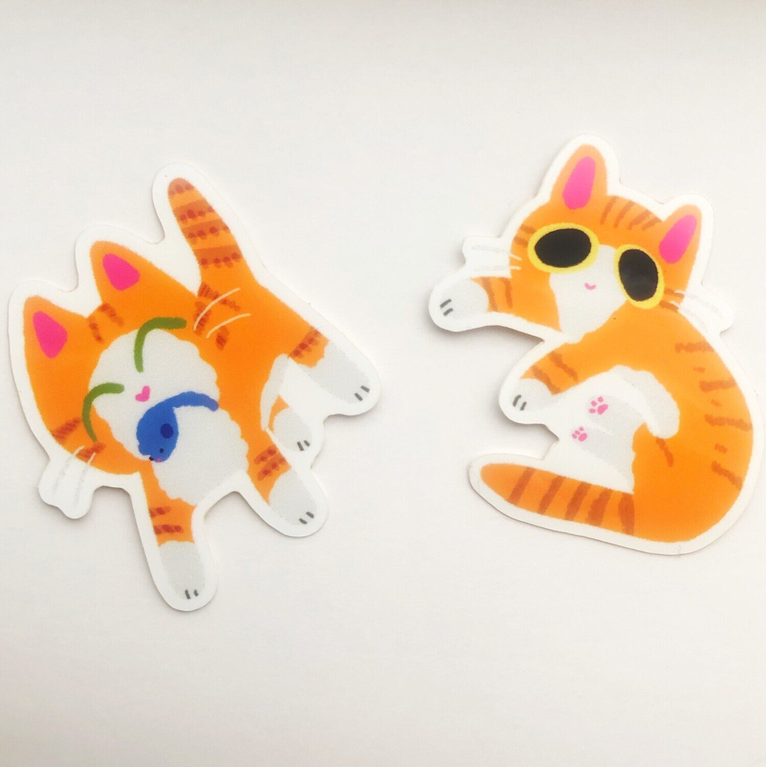 Apollo the Orange kitten 2” vinyl stickers