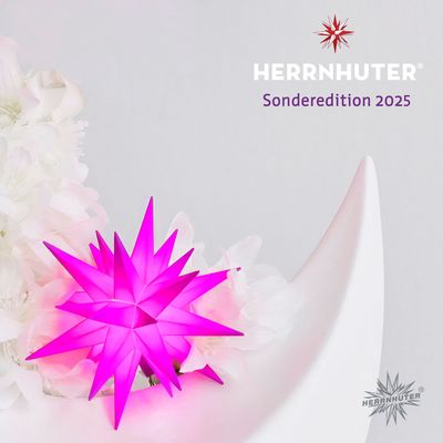 Sonderedition 2025  - Neu! Miniaturstern Violett
