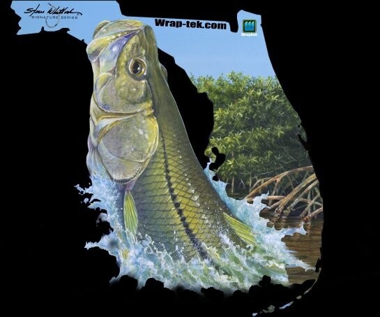 Snook Decal by Steve Whitlock