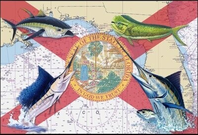Florida Flag Offshore Slam Decal by Steve Whitlock