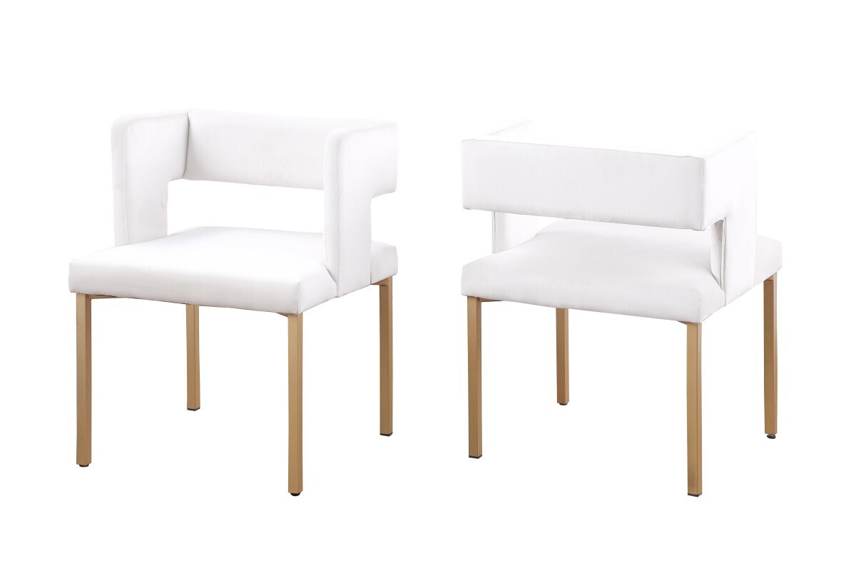 Zenith Dining Chairs (Set of 2)