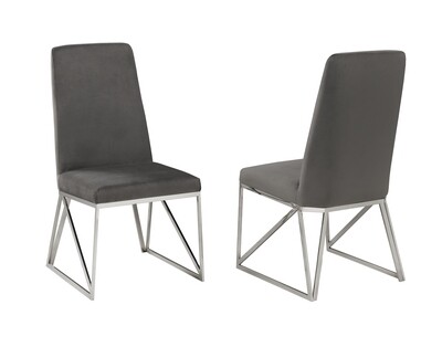 Felicity Dining Chairs (Set of 2)