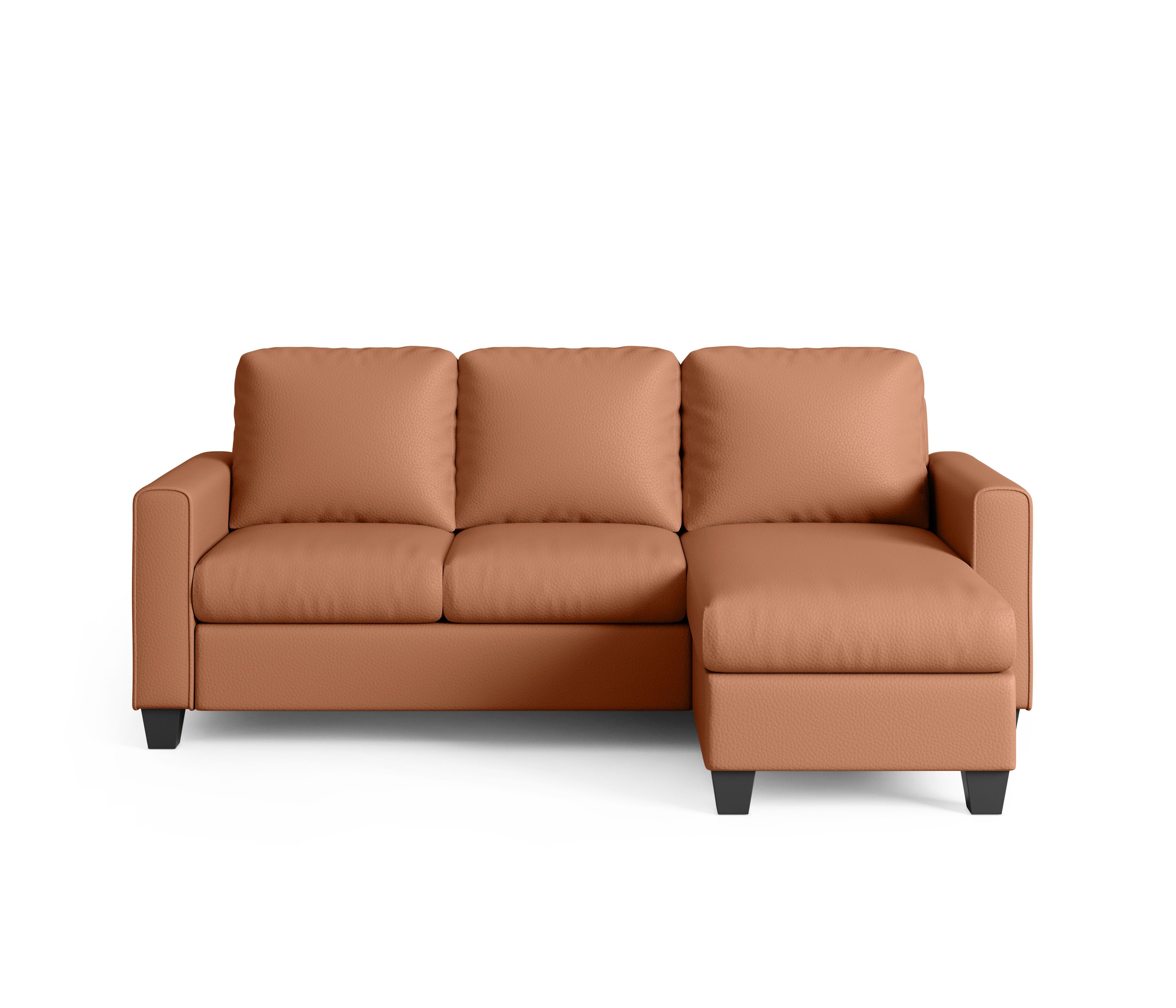 Saddletan Brown