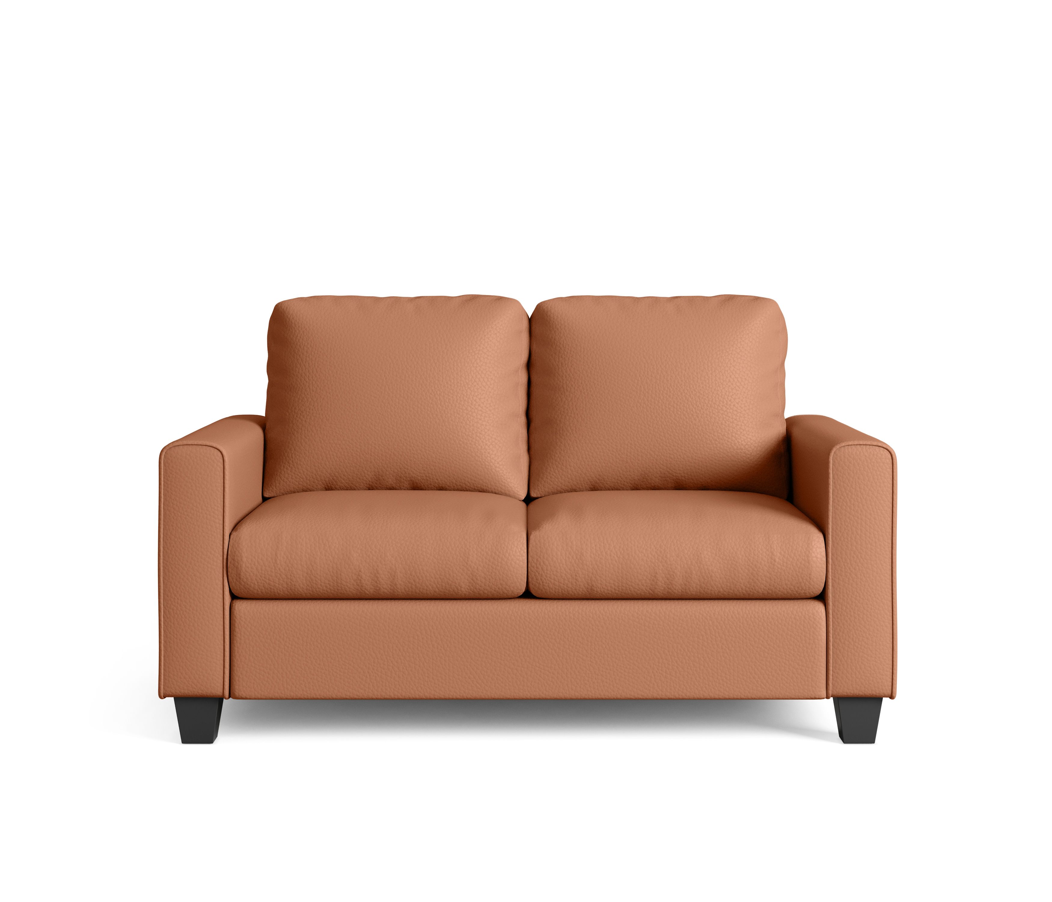 Saddletan Brown