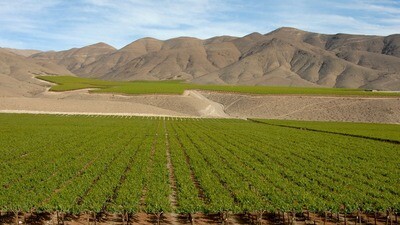 COLCHAGUA VALLEY
